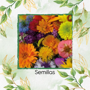 Semillas Orgánicas De Flores Silvestres
