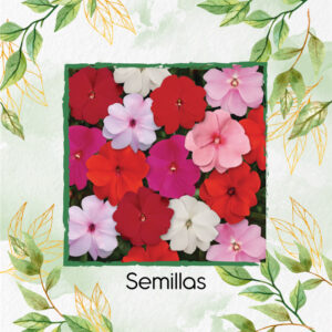 Semillas Orgánicas De Flor Besitos