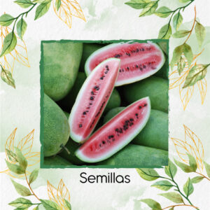 Semillas Orgánicas De Fruta Sandia Charleston