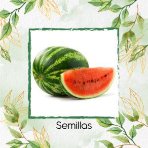 Semillas Orgánicas De Fruta Sandia Jubilee