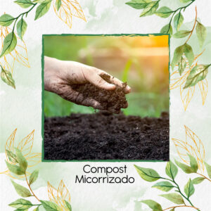 Compost Micorrizado