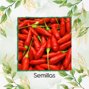 Semillas Orgánicas De Pimentón Peperoncino Italiano