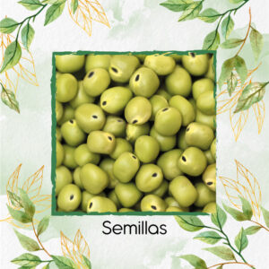 Semillas Orgánicas De Arveja Pequinegra