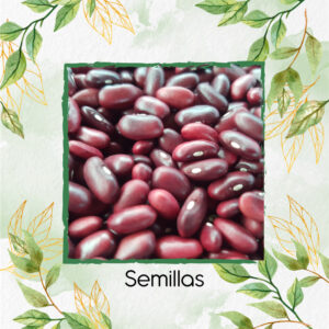 Semillas Orgánicas De Frijol Catalino