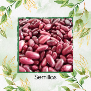 Semillas Orgánicas De Frijol Sangretoro