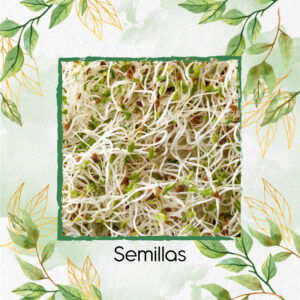 Semillas De Alfalfa Para Germinados