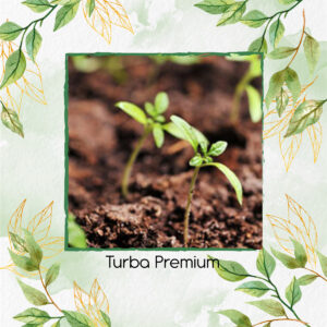 Turba Premium