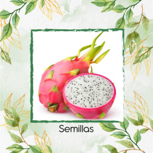 Semillas Orgánicas De Pitahaya Roja