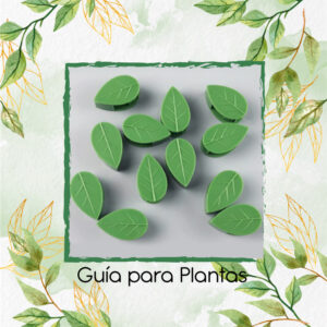 Guía Para Plantas Trepadoras