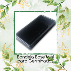 Bandeja Base Mini Para Germinados