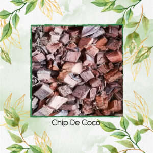 Chip de Coco