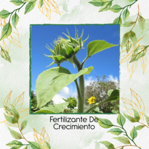 Fertilizante De Crecimiento