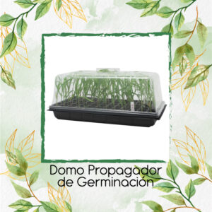 Domo Propagador de Germinación