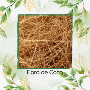 Fibra de Coco