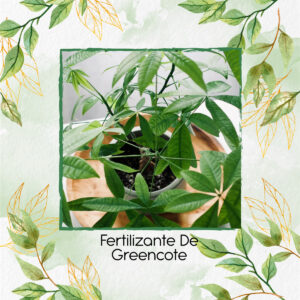 Fertilizante De Greencote