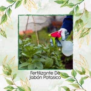 Fertilizante De Jabón Potásico