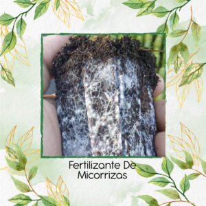 Fertilizante De Micorrizas