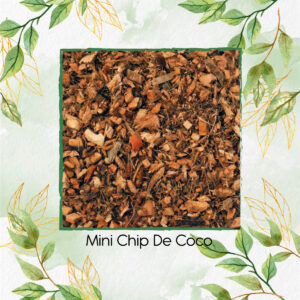 Mini Chip de Coco