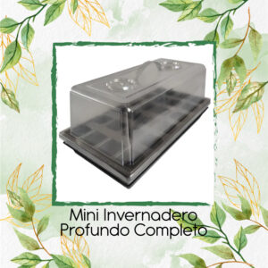 Mini Invernadero Profundo Completo para Apartamento