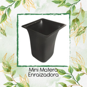 Mini Matera Enraizadora