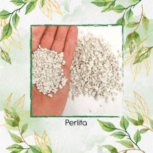 Perlita