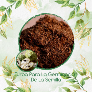 Sustratos Para Chirimoya