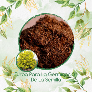 Sustratos Para Acacia Amarilla