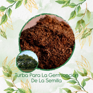 Sustratos Para Acacia Negra