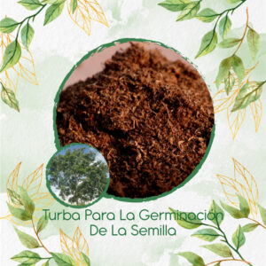 Sustratos Para Caoba