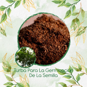 Sustratos Para Cedro Rosado