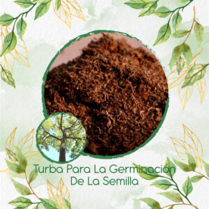 Sustratos Para Ceiba Bonga