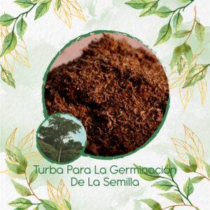 Sustratos Para Dinde Mora