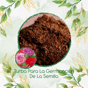 Sustratos Para Aster Pluma de Avestruz