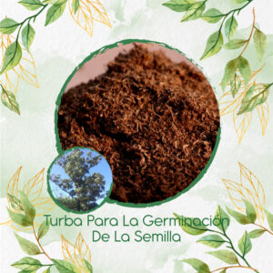 Sustratos Para Eucalipto Robusta