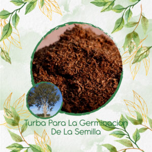 Sustratos Para Eucalipto Tereticronis