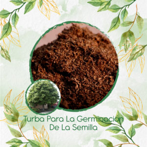 Sustratos Para Jazmín Huesito