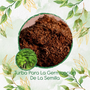 Sustratos Para Moringa
