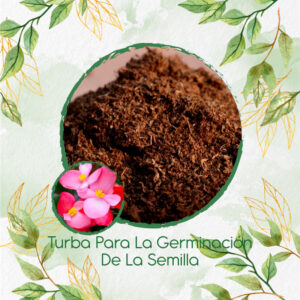 Sustratos Para Begonia