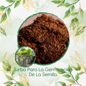 Sustratos Para Palma Abanico