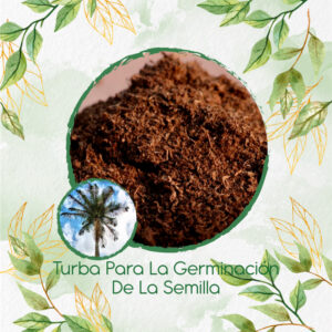 Sustratos Para Palma De Cera