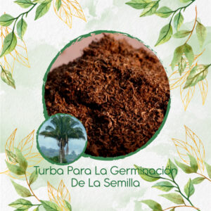 Sustratos Para Palma Real O De Vino