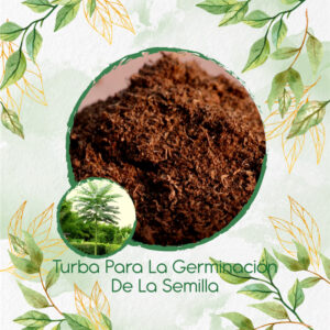 Sustratos Para Tambor Frijolito