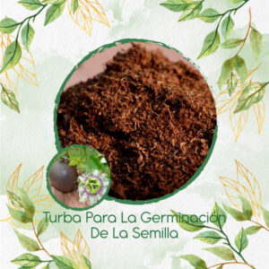 Sustratos Para Gulupa