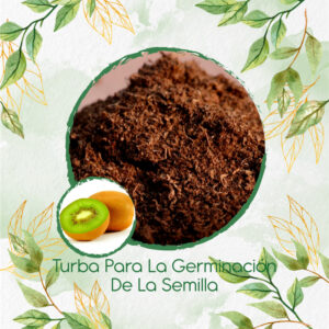 Sustratos Para Kiwi