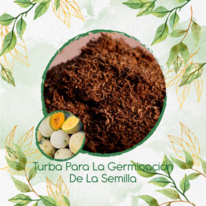 Sustratos Para Melón