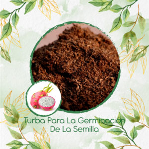 Sustratos Para Pitahaya Roja