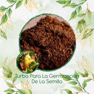 Sustratos Para Berenjena Amarilla