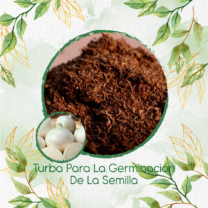 Sustratos Para Cebolla Blanca