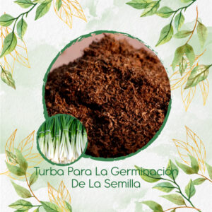 Sustratos Para Cebolla Larga