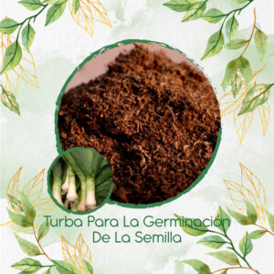 Sustratos Para Cebolla Puerro
